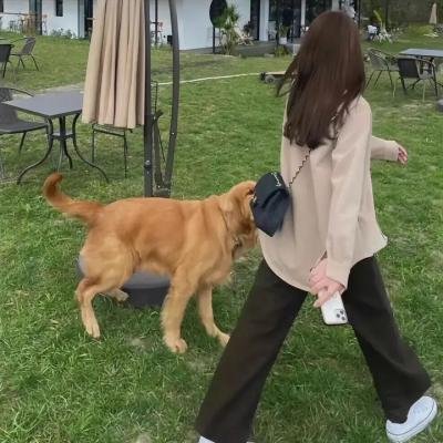 勇敢的人